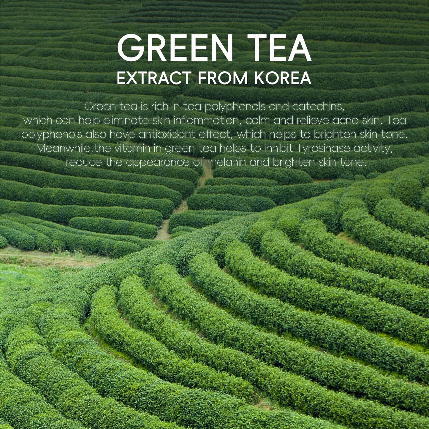 Green Tea Facial Cleanser Skin Deep Cleansing Moisturizing Blackhead Removal Skincare Face Wash Foam Face Cleanser Skin Care
